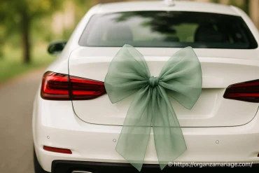 Noeud voiture mariage vert sauge : une tendance élégante et naturelle